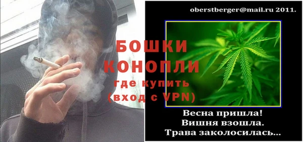 ПСИЛОЦИБИНОВЫЕ ГРИБЫ Баксан