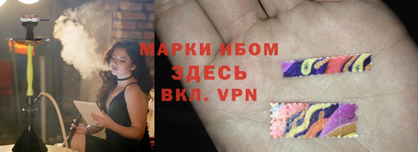 ПСИЛОЦИБИНОВЫЕ ГРИБЫ Баксан