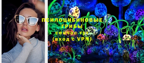 ПСИЛОЦИБИНОВЫЕ ГРИБЫ Баксан