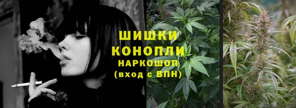 ПСИЛОЦИБИНОВЫЕ ГРИБЫ Баксан